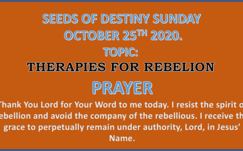 Seeds of Destiny Sunday 25th October 2020 by Dr Paul Enenche