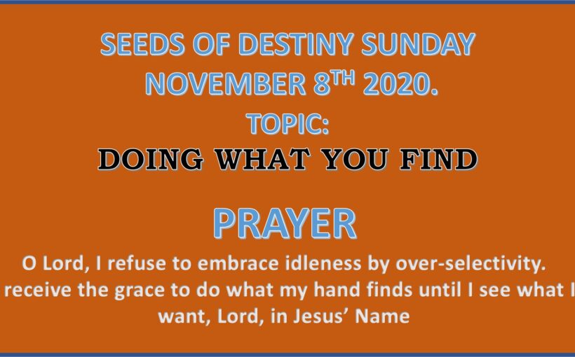 Seeds of Destiny Sunday 8th November 2020 by Dr Paul Enenche